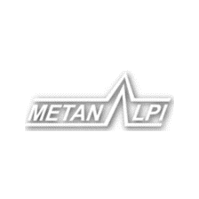 Metanalpi